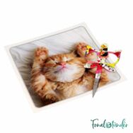 Bohin Cats - fantasy embroidery scissors - macskás kézimunka olló - 01