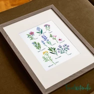 DMC Herbs - cross stitch set - keresztszemes hímző készlet - Gyógynövények - 02