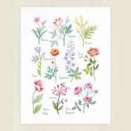 DMC - Botanical - cross stitch embroidery duo kit - keresztszemes hímző készlet