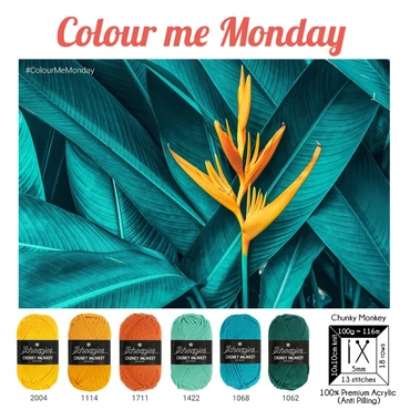 Colour Combo - Scheepjes Chunky Monkey yarns