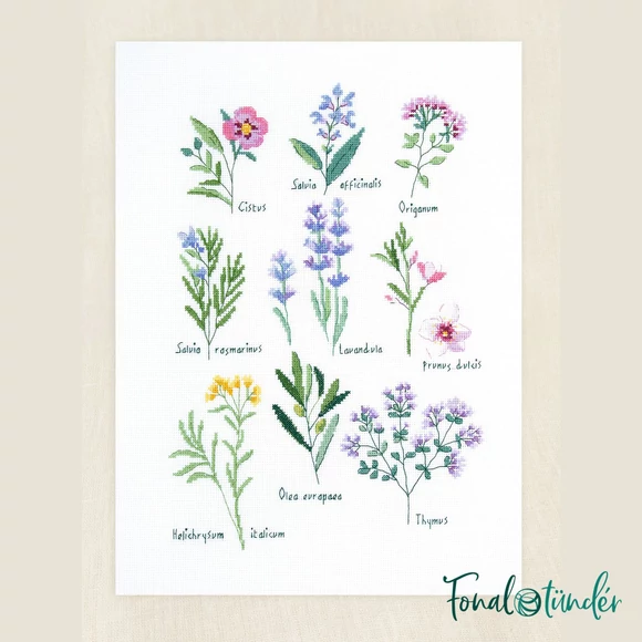 DMC Herbs - cross stitch set - keresztszemes hímző készlet - Gyógynövények