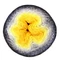 Scheepjes Whirl 787 Dandelion Munchies - keverék fonal - yarn cake