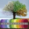 Scheepjes Durable Temperature Blanket- Yarn Pack - Hőmérséklet Takaró Fonalcsomag