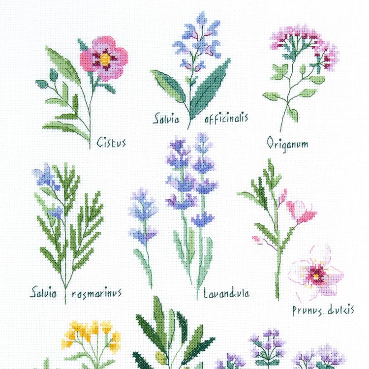DMC Herbs - cross stitch set - keresztszemes hímző készlet - Gyógynövények - 03