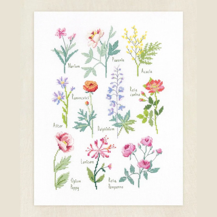 DMC - Botanical - cross stitch embroidery duo kit - keresztszemes hímző készlet